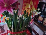 31012025_Chinese New Year_Home Flower00036