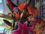 31012025_Chinese New Year_Home Flower00038