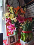 31012025_Chinese New Year_Home Flower00040
