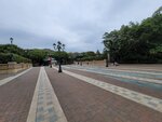 22022025_Disleyland Resort00011
