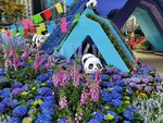 14032025_Samsung Note 20 Ultra_Victoria Park_Hong Kong Flower Show_Horticultures00035