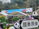 14032025_Samsung Note 20 Ultra_Victoria Park_Hong Kong Flower Show_Horticultures00043