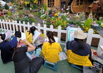14032025_Samsung Note 20 Ultra_Victoria Park_Hong Kong Flower Show_Horticultures00062