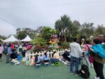 14032025_Samsung Note 20 Ultra_Victoria Park_Hong Kong Flower Show_Horticultures00067