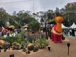 14032025_Samsung Note 20 Ultra_Victoria Park_Hong Kong Flower Show_Horticultures00069