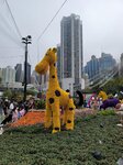 14032025_Samsung Note 20 Ultra_Victoria Park_Hong Kong Flower Show_Horticultures00071