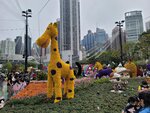 14032025_Samsung Note 20 Ultra_Victoria Park_Hong Kong Flower Show_Horticultures00072