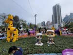 14032025_Samsung Note 20 Ultra_Victoria Park_Hong Kong Flower Show_Horticultures00074