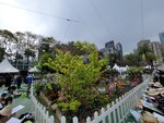 14032025_Samsung Note 20 Ultra_Victoria Park_Hong Kong Flower Show_Horticultures00076