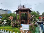 14032025_Samsung Note 20 Ultra_Victoria Park_Hong Kong Flower Show_Horticultures00085