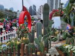 14032025_Samsung Note 20 Ultra_Victoria Park_Hong Kong Flower Show_Horticultures00088