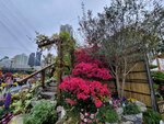 14032025_Samsung Note 20 Ultra_Victoria Park_Hong Kong Flower Show_Horticultures00093