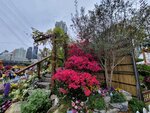 14032025_Samsung Note 20 Ultra_Victoria Park_Hong Kong Flower Show_Horticultures00094