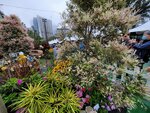 14032025_Samsung Note 20 Ultra_Victoria Park_Hong Kong Flower Show_Horticultures00140