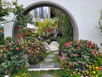 14032025_Samsung Note 20 Ultra_Victoria Park_Hong Kong Flower Show_Horticultures00163