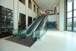 26042025_Ma Wan_Park Island00009