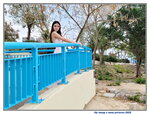 19042025_Samsung Galaxy Note 20 Ultra_Golden Beach_Lily Tsang00006
