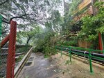 24092025_Typhoon Ragasa000004