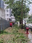 24092025_Typhoon Ragasa000009