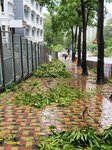 24092025_Typhoon Ragasa000011