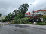 24092025_Typhoon Ragasa000012
