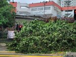 24092025_Typhoon Ragasa000014