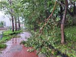 24092025_Typhoon Ragasa000020