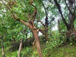 24092025_Typhoon Ragasa000021