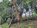 24092025_Typhoon Ragasa000022