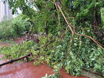 24092025_Typhoon Ragasa000023