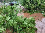 24092025_Typhoon Ragasa000025