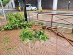 24092025_Typhoon Ragasa000026