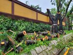 24092025_Typhoon Ragasa000031