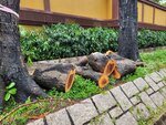 24092025_Typhoon Ragasa000032
