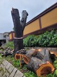 24092025_Typhoon Ragasa000033