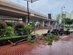 24092025_Typhoon Ragasa000035