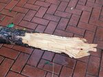 24092025_Typhoon Ragasa000039