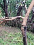 24092025_Typhoon Ragasa000040
