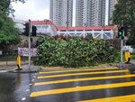 24092025_Typhoon Ragasa000041