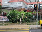 24092025_Typhoon Ragasa000044