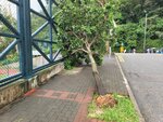24092025_Typhoon Ragasa000045