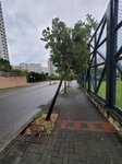 24092025_Typhoon Ragasa000047