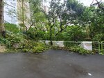 24092025_Typhoon Ragasa000050