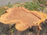 24092025_Typhoon Ragasa000054