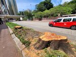 24092025_Typhoon Ragasa000056