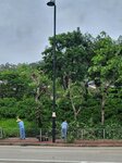 20072025_Typhoon Wipha00015