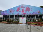 14032025_Samsung Note 20 Ultra_Victoria Park_Hong Kong Flower Show_Venue00016