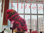 27022026_Lion Dance at APM00002