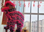 27022026_Lion Dance at APM00008