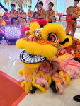 27022026_Lion Dance at APM00020